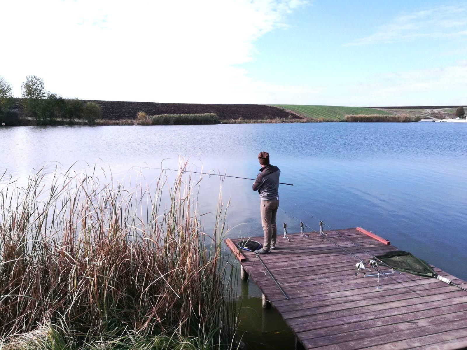 Bila 2 4 - 5 noiembrie 2017 - 2.jpg